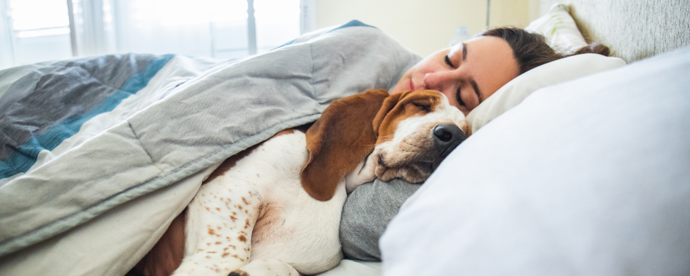 Can Service Animals Really Help You Manage Your Sleep Apnea? | Aeroflow Sleep